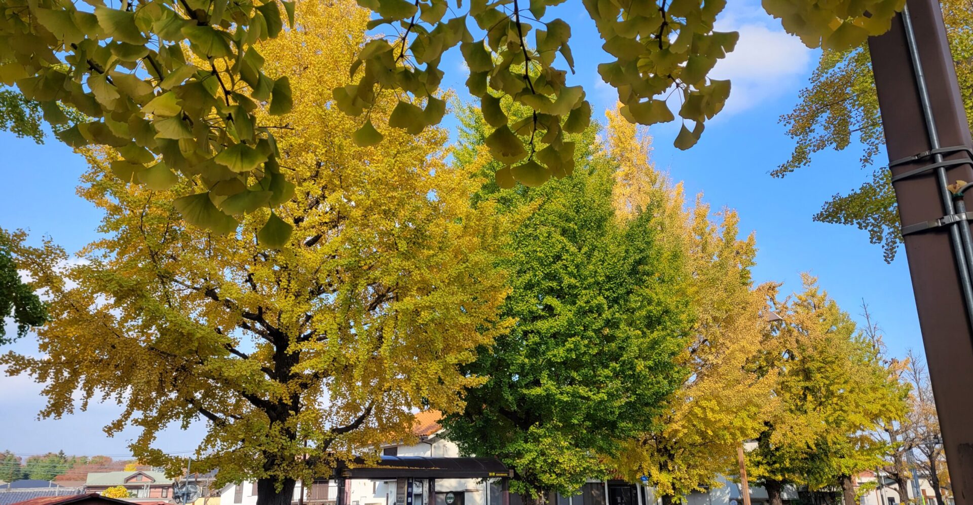 ISEM 2023 | Hachioji, Tokyo